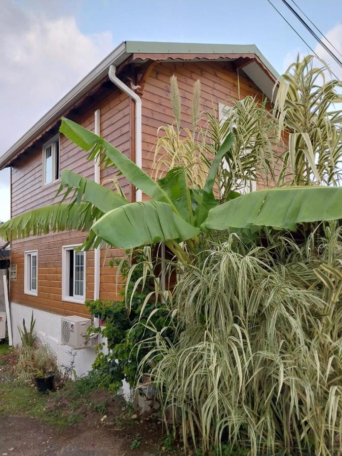 Le Cosy Bungalow De Lili / 5Min De L'Aeroport Les Abymes Zewnętrze zdjęcie